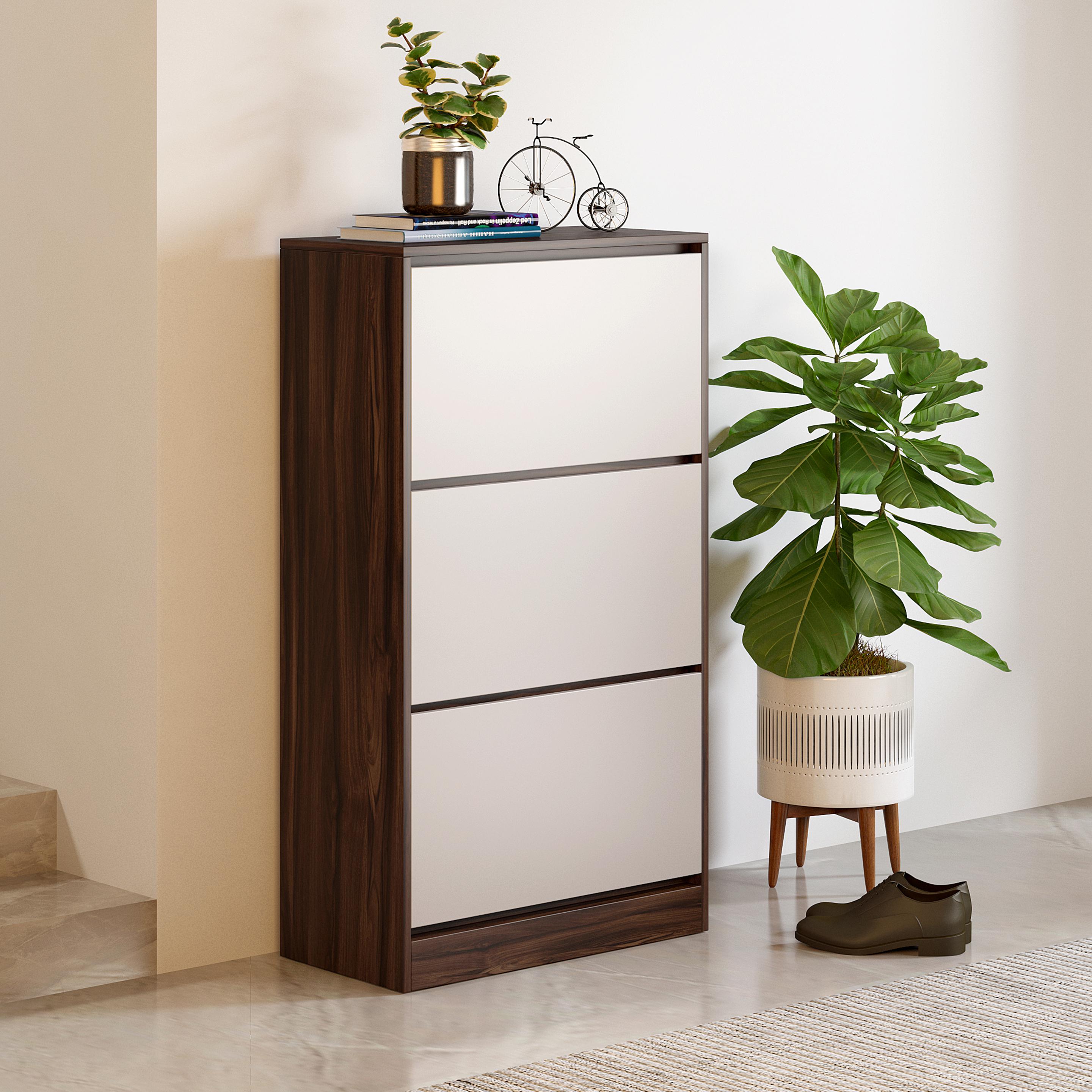 Fredrick Shoe Cabinet with Pull-Down Foldable Drawers