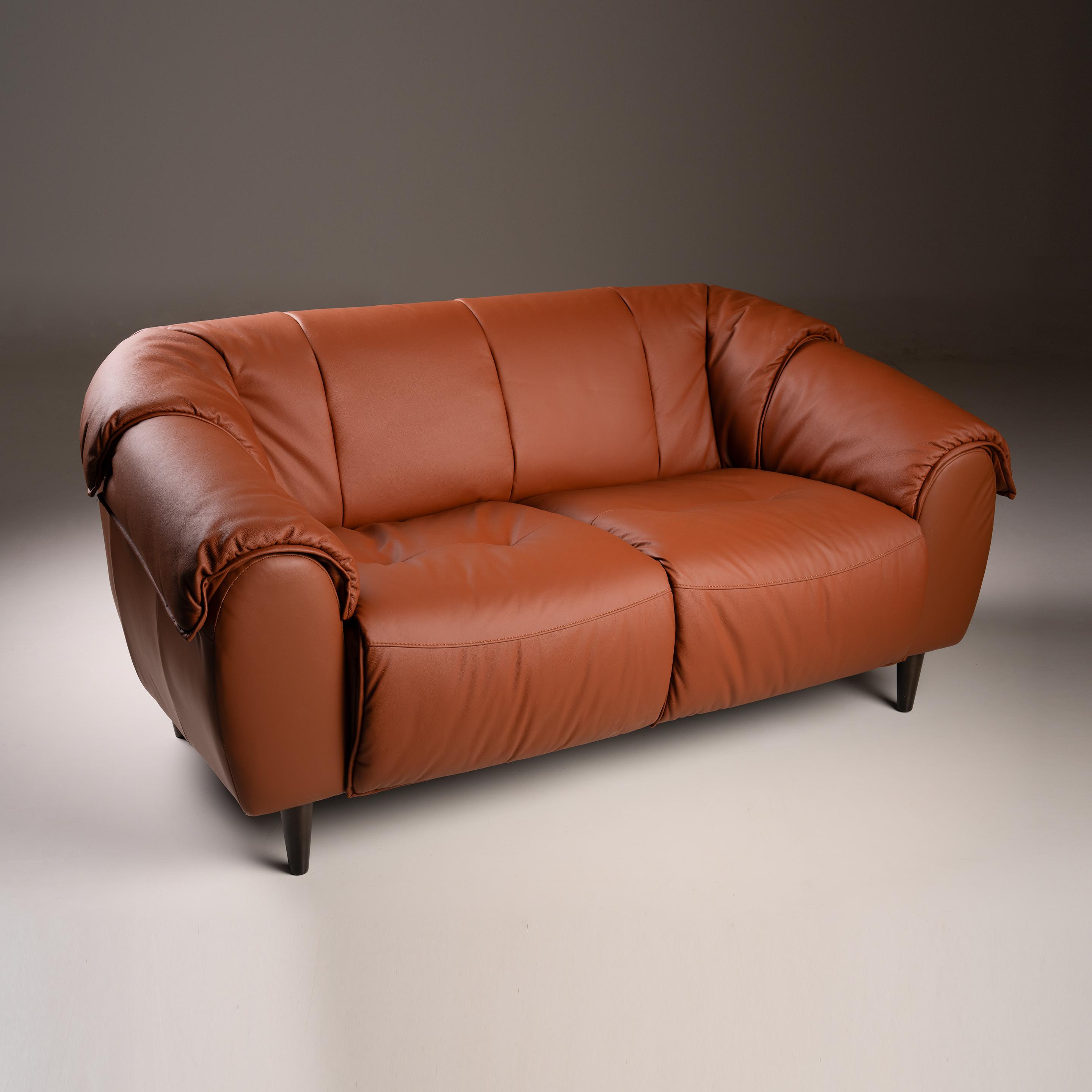 Zenith Leather 2 Seater Sofa in Warm Brown